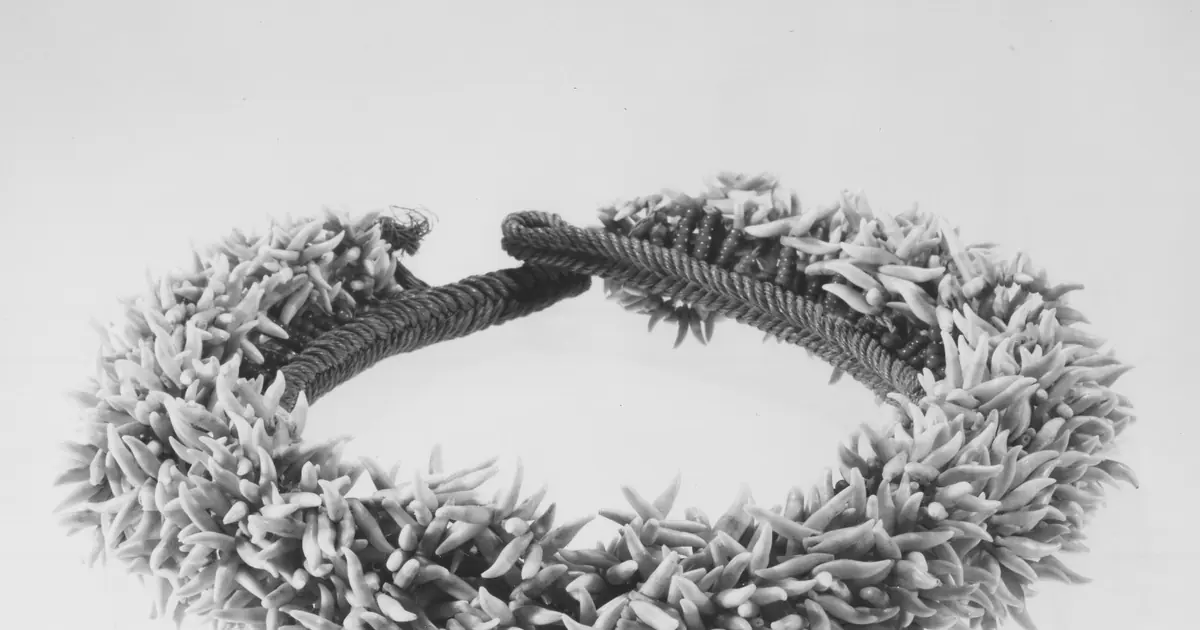 3 Ways to Find The Most Reputable Coco Fiber Supplier