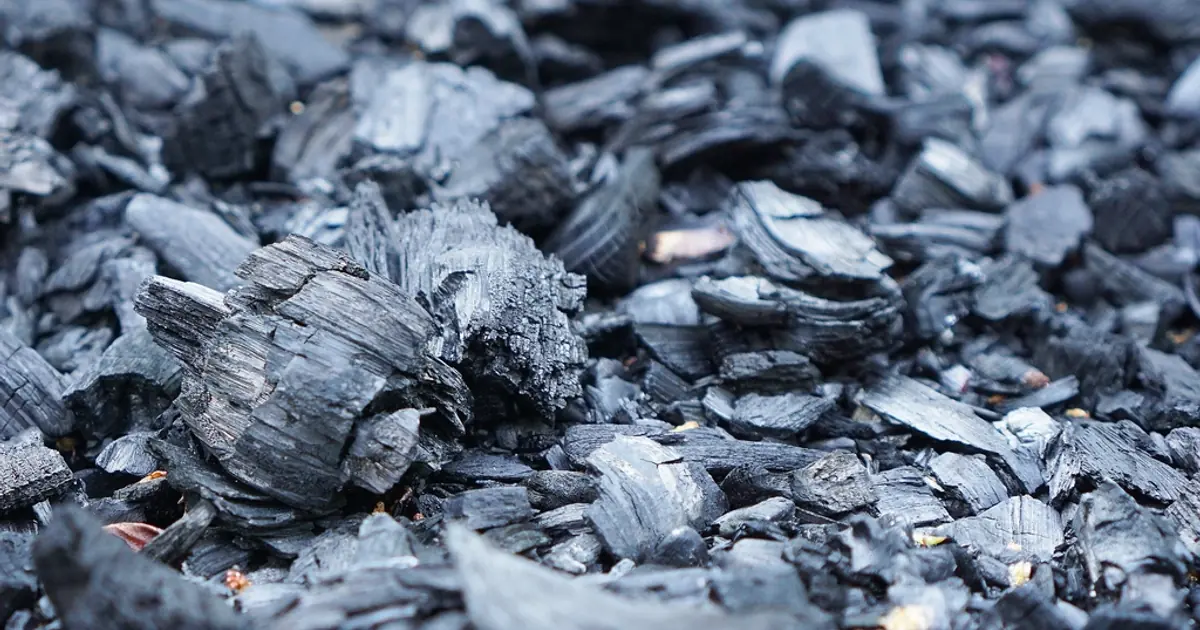 coconut shell charcoal briquette
